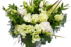 Lovely Spring Green